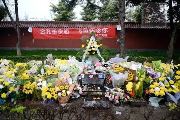 "金孔雀"没有被遗忘!这个清明有2000余人前往烈士陵园祭奠余旭烈士