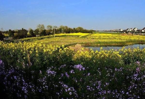 生命之旅乌萨曲谱