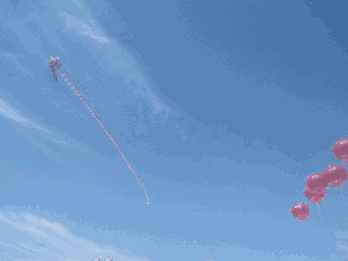 今天,我们一起放飞风筝,放飞青春梦想!