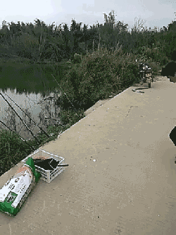 钓鱼闲侃并没有什么不妥,几个人一起侃侃大山也算是钓鱼文化中的一番