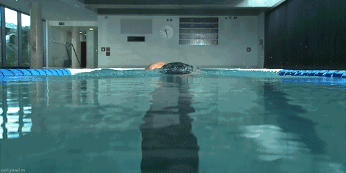 对于啤酒肚男生和游泳圈女生来说, 坚持tabata,再配合腹部动作,能