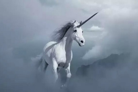 注意!这些泛电商领域有90家独角兽企业常出没