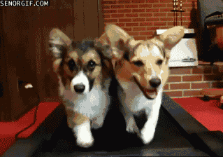 4种运动,减肥效果没你想象那么好