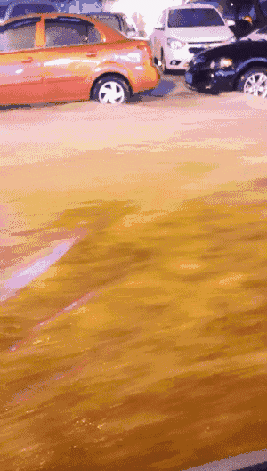 300_529 竖版 竖屏