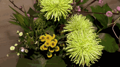 立刻报名,还有现金红包可以领 春暖花开 很多人喜欢趁着周末到