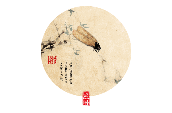 超萌的中药版二十四节气养生动态图!