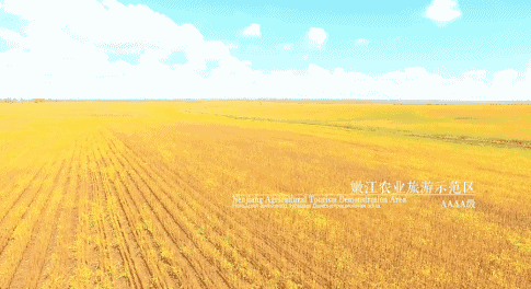 壁纸 成片种植 风景 植物 种植基地 桌面 485_264 gif 动态图 动图