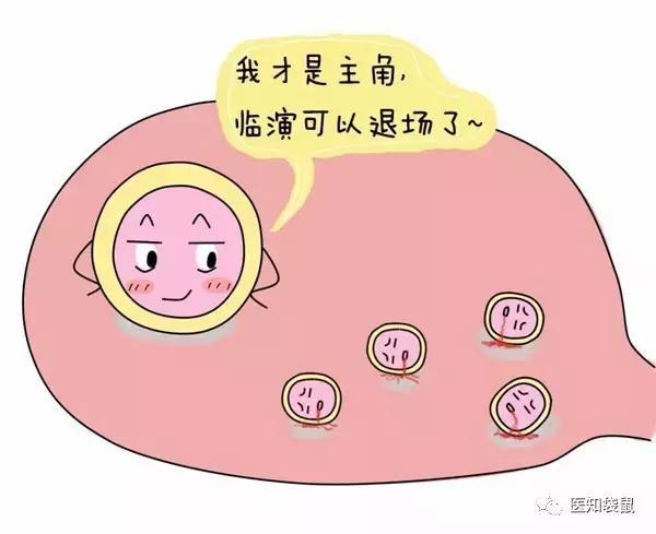 优势卵泡一般第几天 a349m62587149964818.jpg