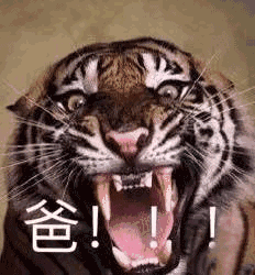 你们要的无水印喊妈喊爸喊儿砸的表情包都在这儿了!