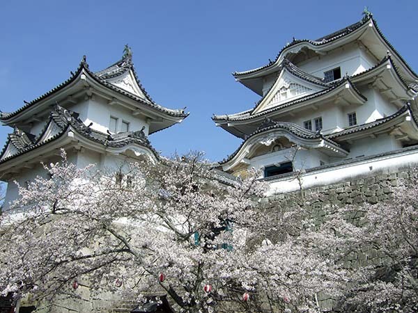 (3 伊贺上野城