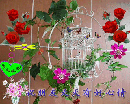壁纸 仿真 仿真花 仿真植物 花 装饰 桌面 450_360 gif 动态图 动图