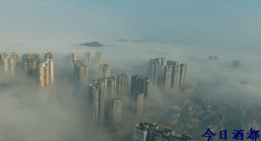 仁怀又出最新视频!