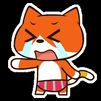 【寻猫启事】寻找一只叫毛毛的橘猫……-新闻频道