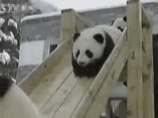 必须是熊猫啊!