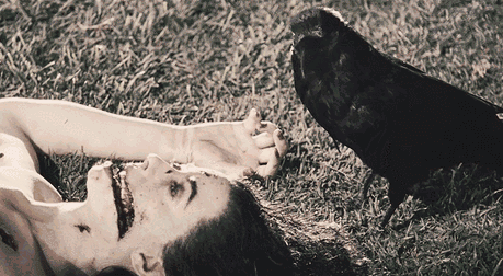 豹 豹子 壁纸 动物 桌面 459_252 gif 动态图 动图