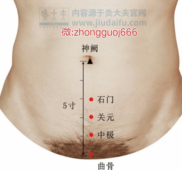 a77gox7897308500220.jpg