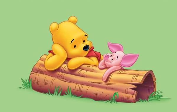 熊的故事讲的是什么图片