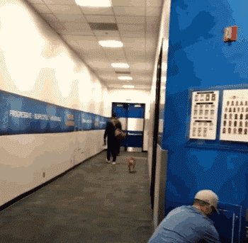 库里为爱癫狂化身迷弟 卡哇伊竟遭痴汉凌辱