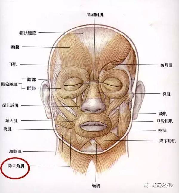 用瘦腿针就能完成的微笑唇你们为什么要去动刀?