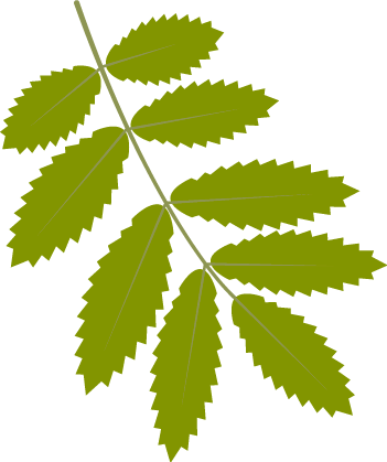 招架什么成语_成语故事图片(2)