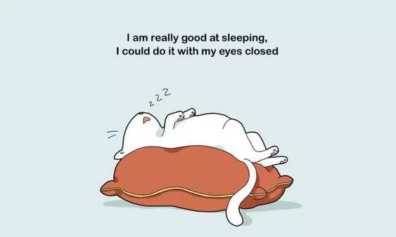 懒人漫画:我对睡觉这件事,真的很在行!