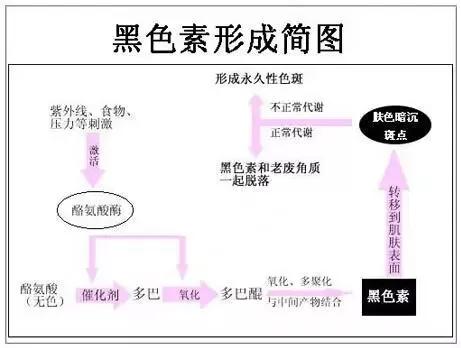 黑色素的形成又分为很多原因: 1,紫外线:当皮肤接触紫外线,就会产生