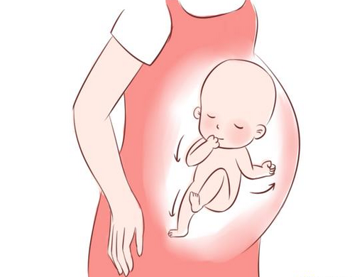 胎动的位置,胎动的方式等,都不是判断胎儿性别的依据,虽然有个别妈妈