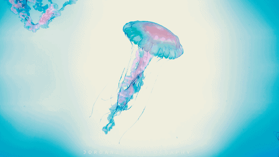 560_315