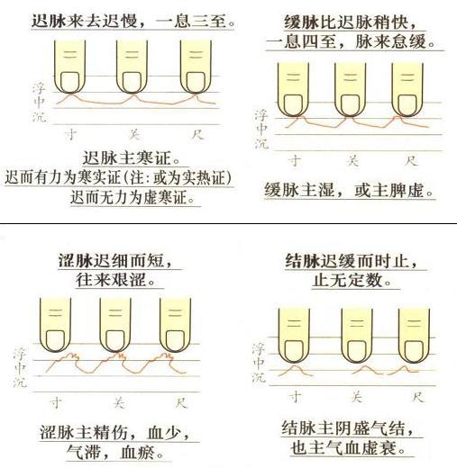 把脉到底是什么原理_幸福是什么图片