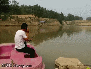 搞笑图片, 两只虎当街打架, 旁人避让不及.