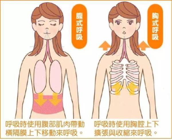 人类的呼吸分为胸式呼吸和腹式呼吸两种