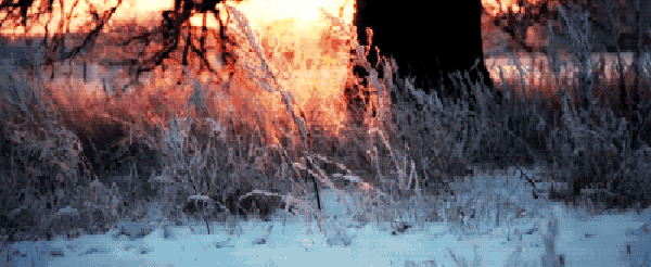 效果图就是要氛围到位!