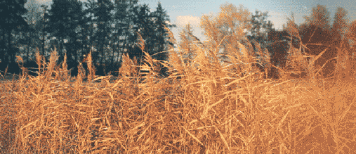 效果图就是要氛围到位!