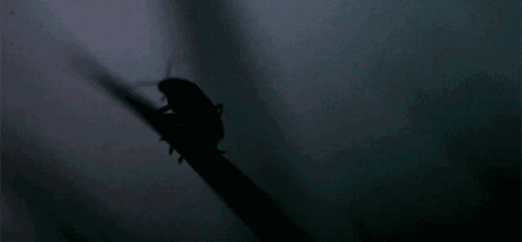 关于光的18条不可思议的知识-新闻频道-手机搜狐