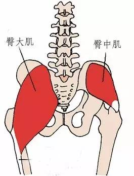 蜜桃臀修炼手册,中国姑娘们健身后可以如此性感!