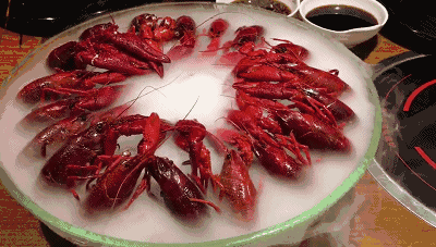 来自魔都,有钳任性的红盔甲小龙虾