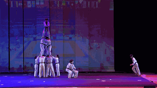 但是专业竞技运动员退役后是无法直接进入道馆任职授课