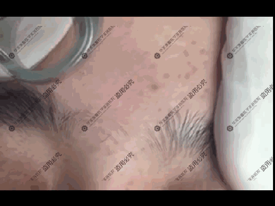 560_420gif 动态图 动图