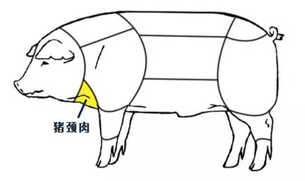 成语什么头狐腋_成语故事简笔画(2)