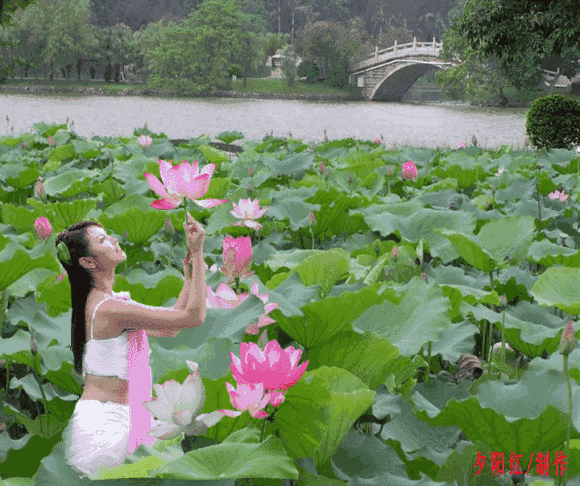 一组流水的图片送给你, 这么美的动图哪里去找 还不赶快收藏起来 放