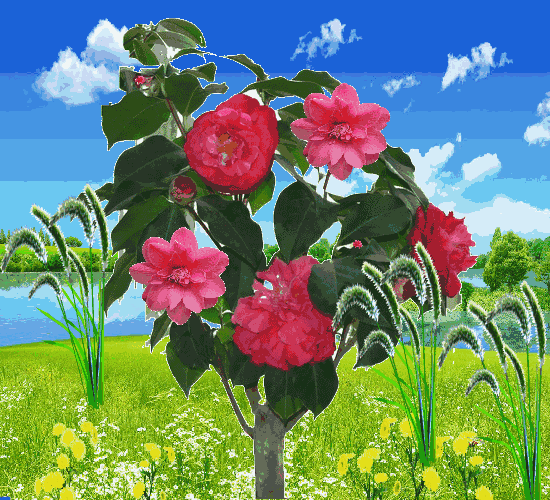 祝你幸福!-汽车频道-手机搜狐