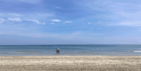 走啊,去沙巴慢慢地过夏天-旅游频道-手机搜狐