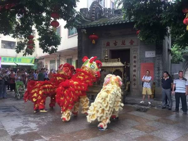 第九届黄埔长洲"金花诞"隆重开幕!