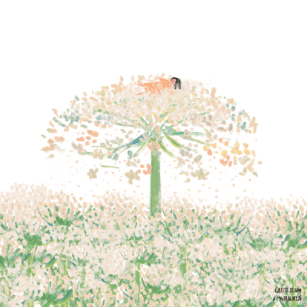 在城市的水泥森林里,造一座多肉空中花园