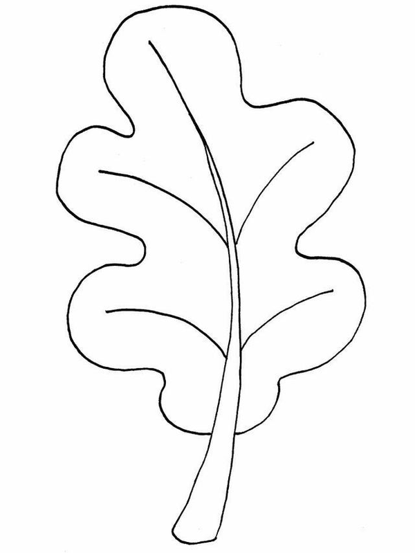 圆朱笔画树叶怎样画.(用素描的方法)图片