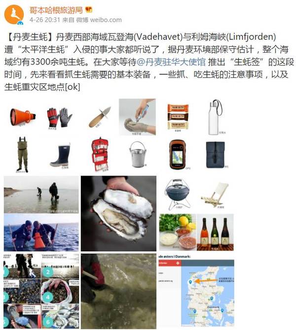 丹麦华人谋划了一个神秘组织,竟然是为了干这件事情...