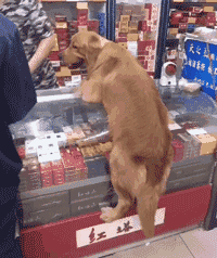 欢迎投稿,爆料请联系qq:74010 商务赞助请联系qq:800022308000451 这