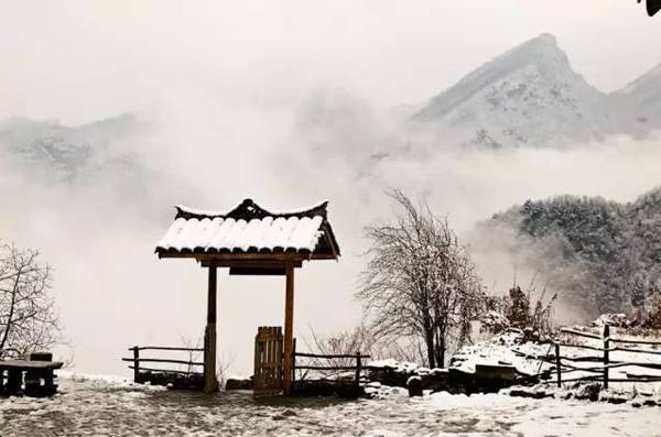 带着妻女隐居武当深山,他才是世界上活得最赚的男人