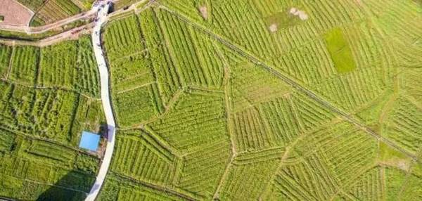 容县黎村镇gdp_走进广西首批传统村落之容县黎村镇珊萃村(2)