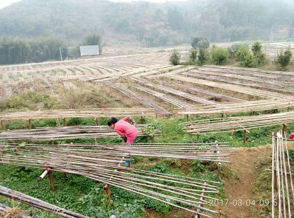 牛屯人口分布_中国人口分布地图